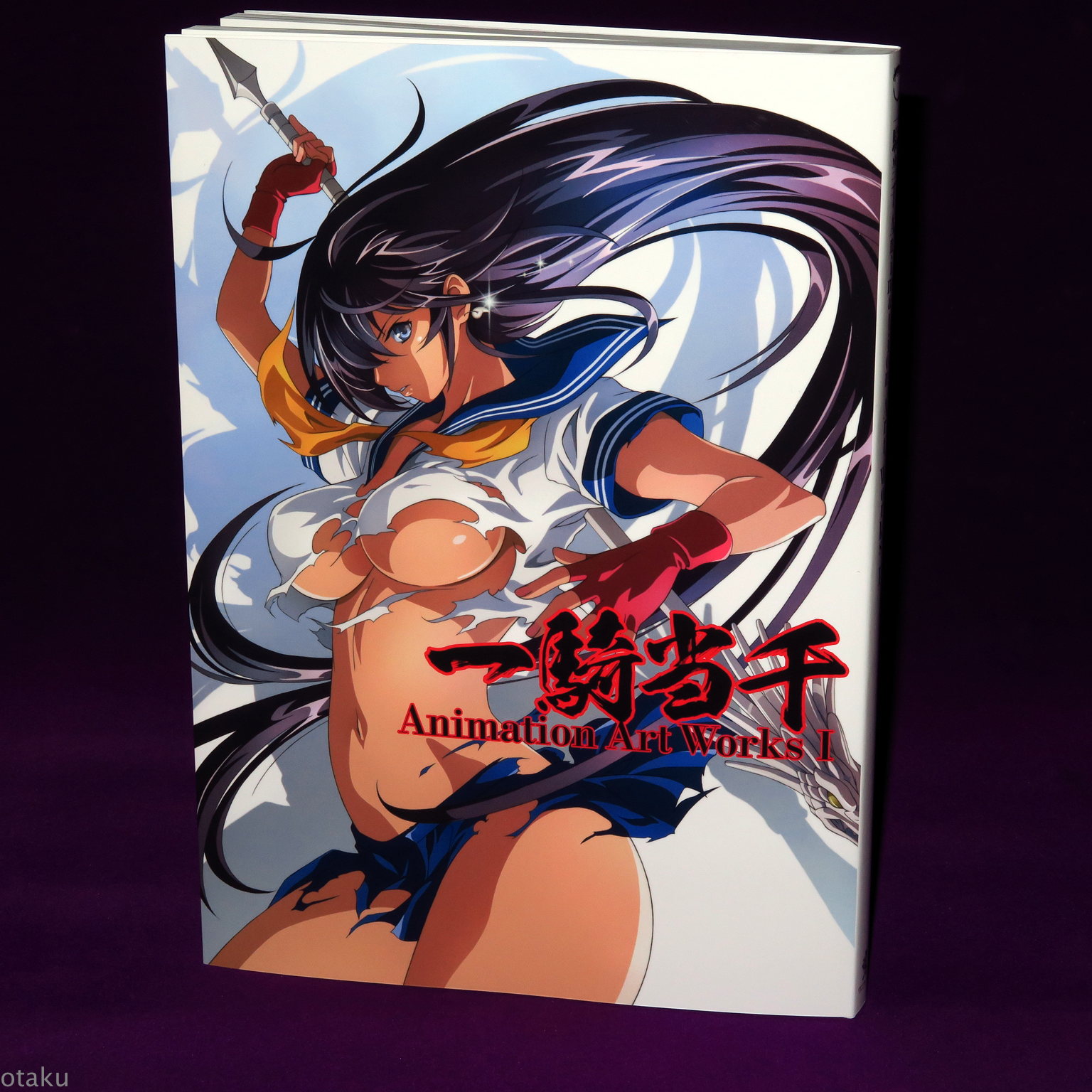 Ikki Tousen Battle Vixens Original Artworks