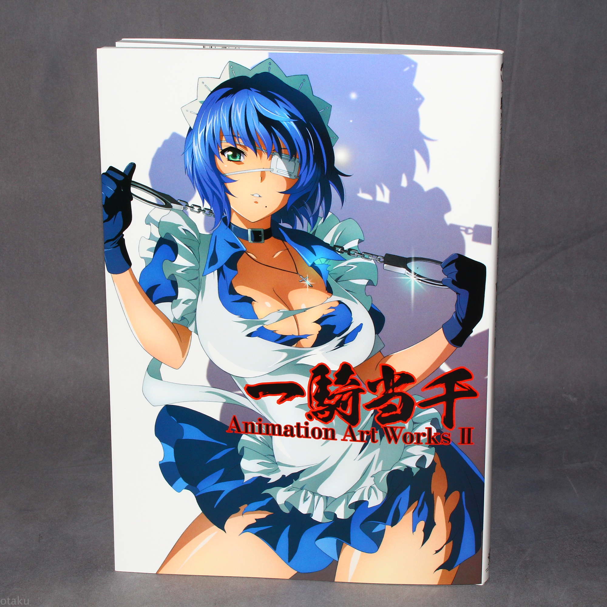 Ikki Tousen Animation Art Works Ii