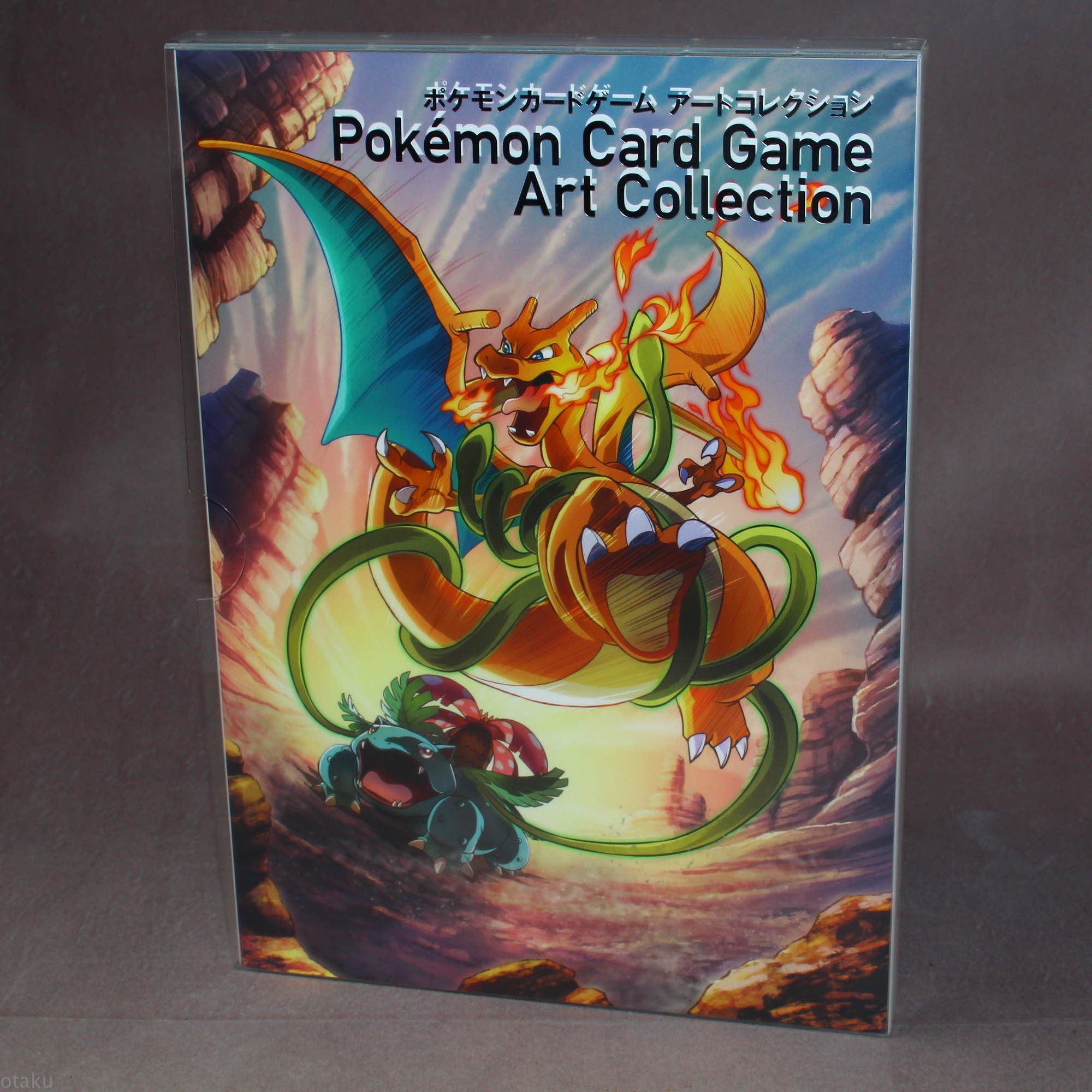 Pokemon Pocket Monsters Card Game Art Collection