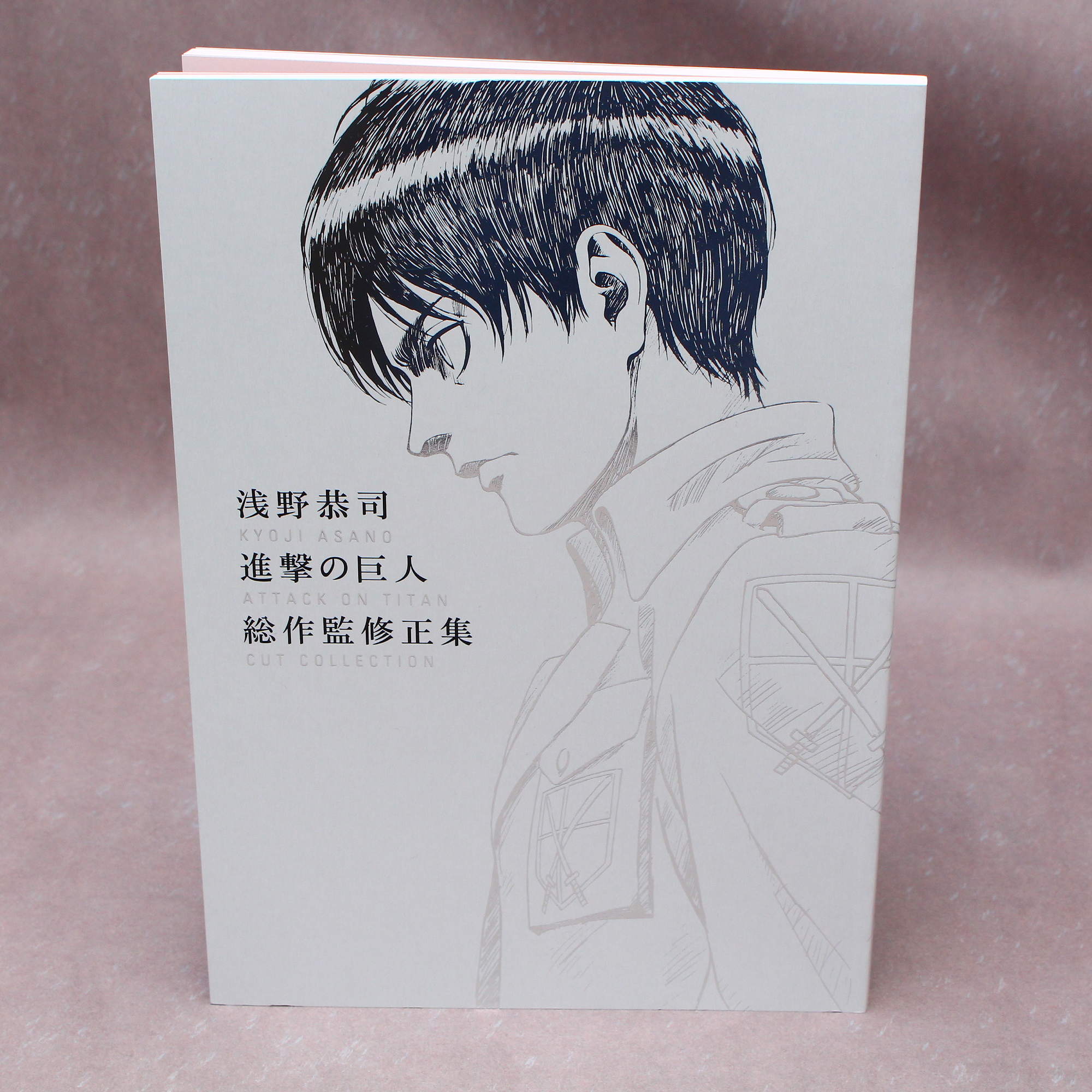 Kyoji Asano Attack On Titan Cut Collection