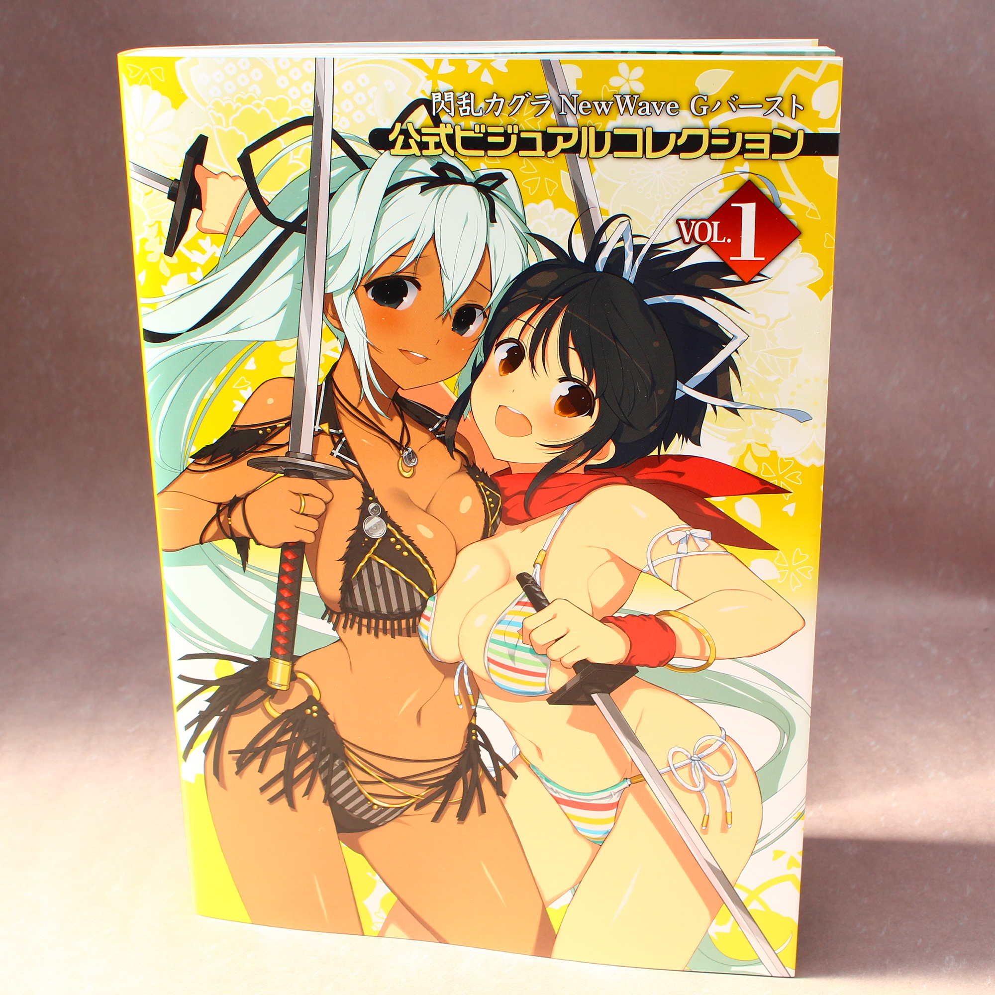 Senran Kagura New Wave G Burst Official Visual Collection Vol 1