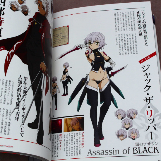 Fate Apocrypha Anime Visual Guide