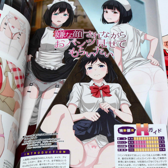 Megami Magazine Rx Vol 8