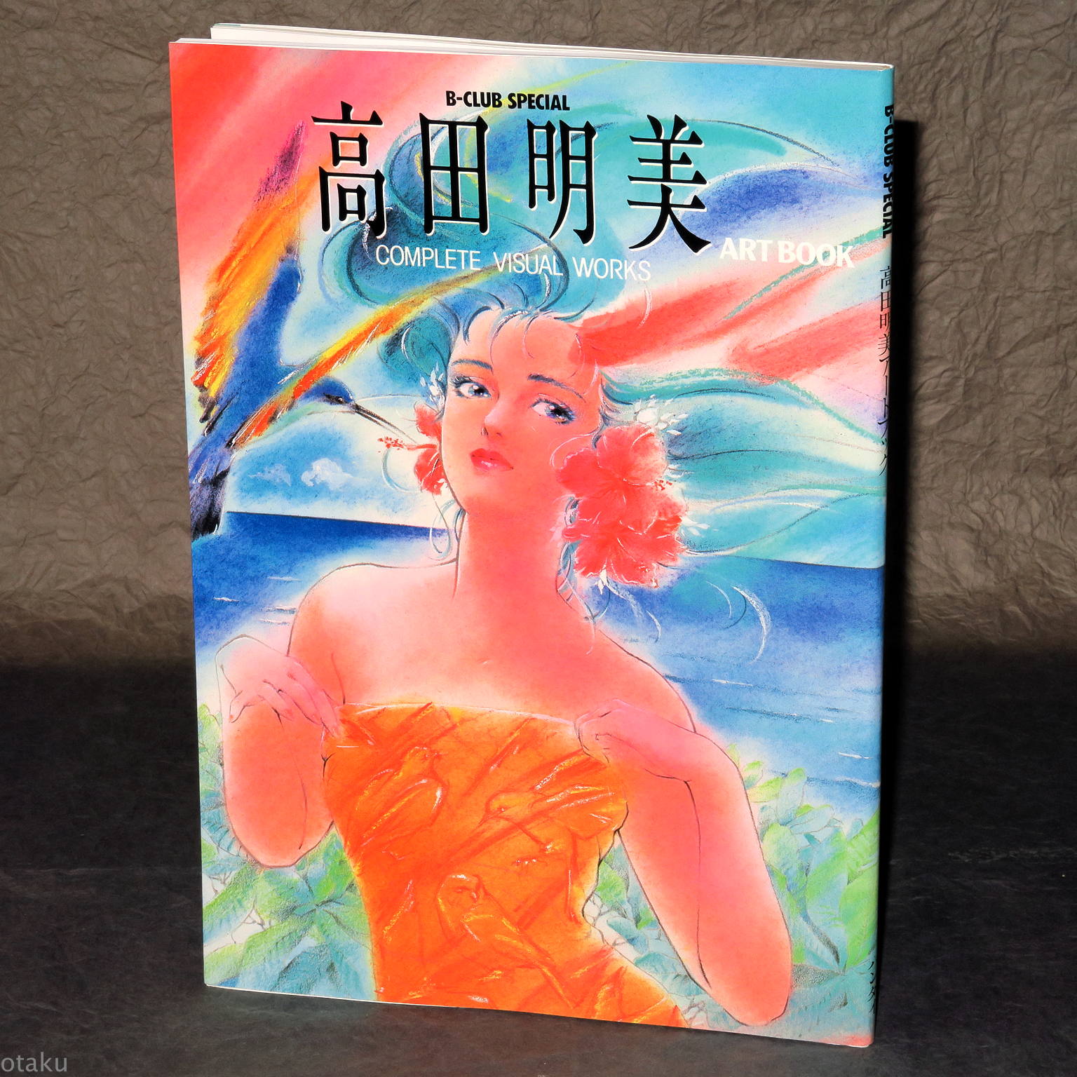 Akemi Takada - Complete Visual Works B-club Special