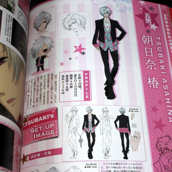 Brothers Conflict Tv Animation Official Fan Book