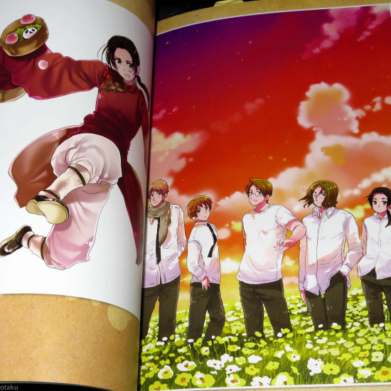 Hetalia Axis Powers ARTBOOK Arte Stella Piccolo